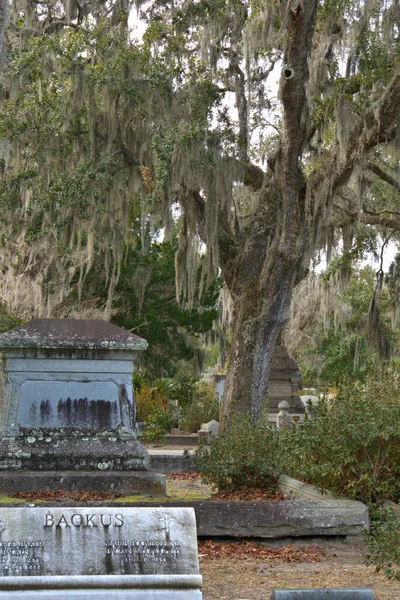 Bonaventure Cemetery Stato Votato Tra Primi Cimiteri Più Belli Del — Foto Stock