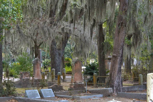 Cmentarz Bonaventure Został Wybrany Pierwszej Dziesiątce Najpiękniejszych Cmentarzy Świecie Uderzające — Zdjęcie stockowe