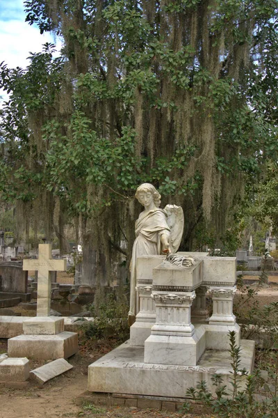 Bonaventure Cemetery Fue Votado Entre Los Cementerios Más Bellos Del —  Fotos de Stock