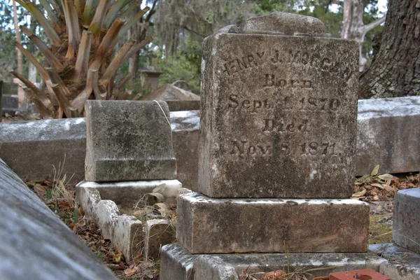 Bonaventure Cemetery Fue Votado Entre Los Cementerios Más Bellos Del —  Fotos de Stock