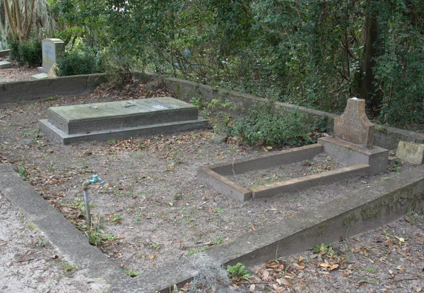 Bonaventure Mezarlığı dünyanın en güzel 10 mezarlığında seçildi! Çarpıcı heykeller, anıtlar ve özenle hazırlanmış mezarlıklar zarif, yosunlu meşe ağaçlarıyla süslenmiş 160 dönümlük araziyi süslüyor..