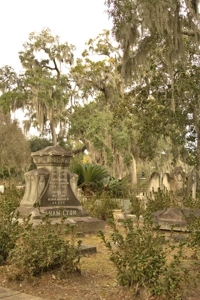 Bonaventure Mezarlığı dünyanın en güzel 10 mezarlığında seçildi! Çarpıcı heykeller, anıtlar ve özenle hazırlanmış mezarlıklar zarif, yosunlu meşe ağaçlarıyla süslenmiş 160 dönümlük araziyi süslüyor..