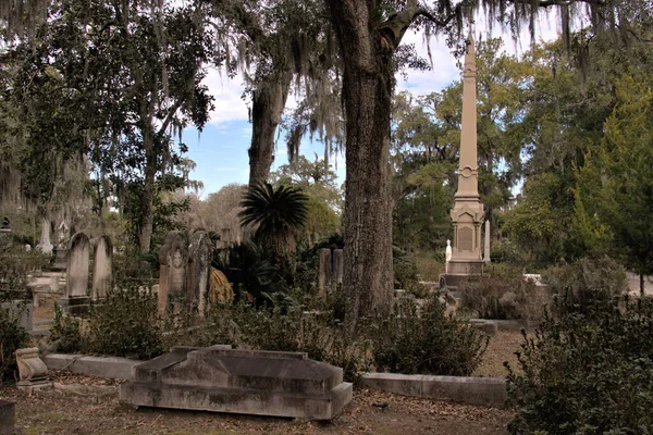 Bonaventure Mezarlığı dünyanın en güzel 10 mezarlığında seçildi! Çarpıcı heykeller, anıtlar ve özenle hazırlanmış mezarlıklar zarif, yosunlu meşe ağaçlarıyla süslenmiş 160 dönümlük araziyi süslüyor..