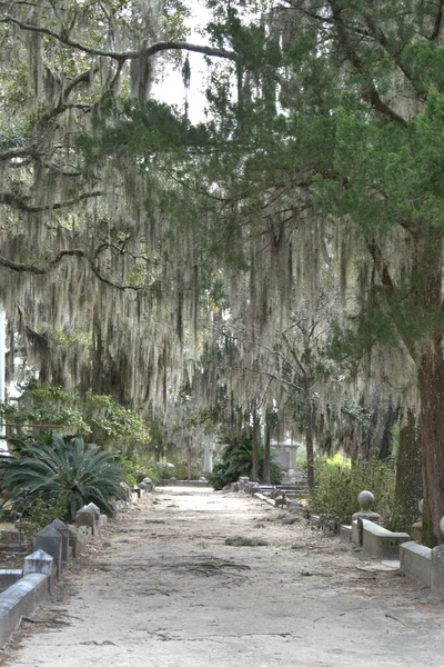 Bonaventure Cemetery Fue Votado Entre Los Cementerios Más Bellos Del —  Fotos de Stock