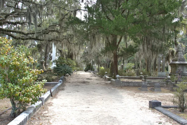 Bonaventure Mezarlığı dünyanın en güzel 10 mezarlığında seçildi! Çarpıcı heykeller, anıtlar ve özenle hazırlanmış mezarlıklar zarif, yosunlu meşe ağaçlarıyla süslenmiş 160 dönümlük araziyi süslüyor..