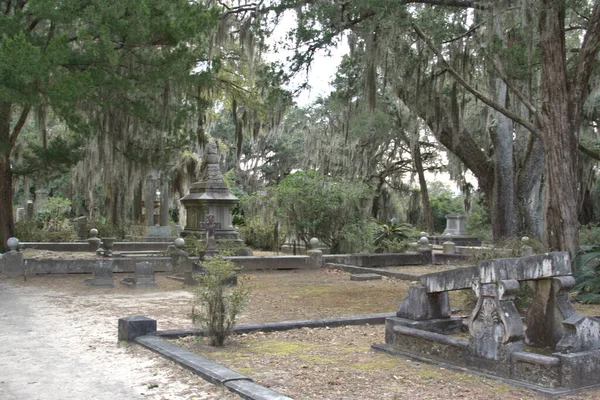 Bonaventure Cemetery Stato Votato Tra Primi Cimiteri Più Belli Del — Foto Stock