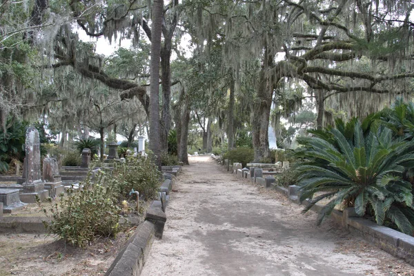 Bonaventure Mezarlığı dünyanın en güzel 10 mezarlığında seçildi! Çarpıcı heykeller, anıtlar ve özenle hazırlanmış mezarlıklar zarif, yosunlu meşe ağaçlarıyla süslenmiş 160 dönümlük araziyi süslüyor..