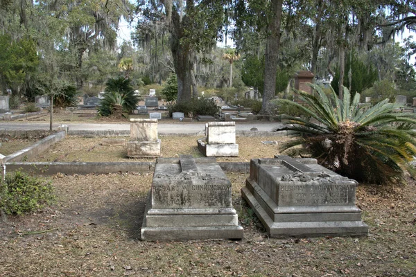 Bonaventure Mezarlığı dünyanın en güzel 10 mezarlığında seçildi! Çarpıcı heykeller, anıtlar ve özenle hazırlanmış mezarlıklar zarif, yosunlu meşe ağaçlarıyla süslenmiş 160 dönümlük araziyi süslüyor..