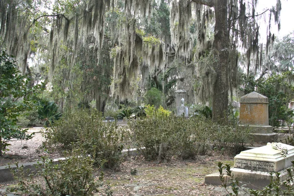 Bonaventure Mezarlığı dünyanın en güzel 10 mezarlığında seçildi! Çarpıcı heykeller, anıtlar ve özenle hazırlanmış mezarlıklar zarif, yosunlu meşe ağaçlarıyla süslenmiş 160 dönümlük araziyi süslüyor..