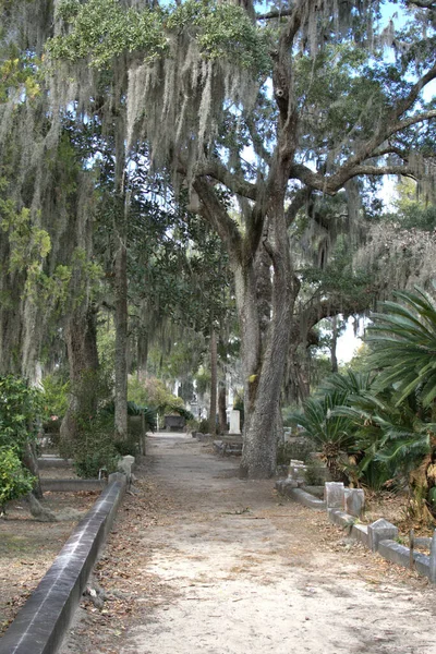 Bonaventure Cemetery Fue Votado Entre Los Cementerios Más Bellos Del —  Fotos de Stock