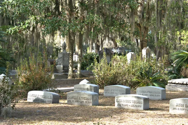 Bonaventure Cemetery Fue Votado Entre Los Cementerios Más Bellos Del —  Fotos de Stock