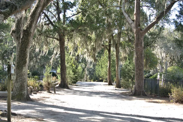 Bonaventure Cemetery Fue Votado Entre Los Cementerios Más Bellos Del — Foto de Stock