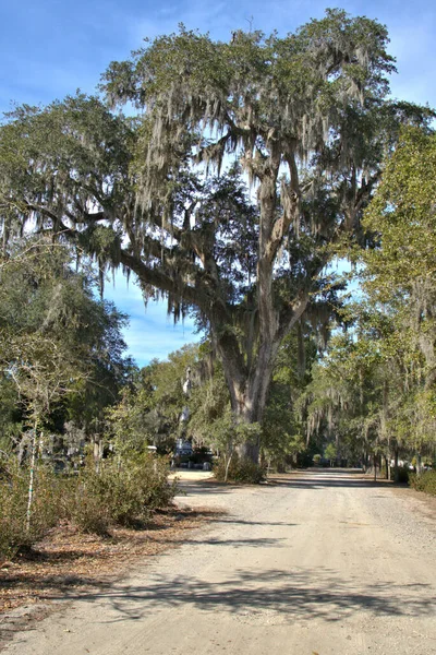 Bonaventure Mezarlığı dünyanın en güzel 10 mezarlığında seçildi! Çarpıcı heykeller, anıtlar ve özenle hazırlanmış mezarlıklar zarif, yosunlu meşe ağaçlarıyla süslenmiş 160 dönümlük araziyi süslüyor..