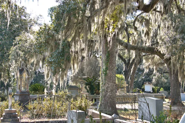 Bonaventure Mezarlığı dünyanın en güzel 10 mezarlığında seçildi! Çarpıcı heykeller, anıtlar ve özenle hazırlanmış mezarlıklar zarif, yosunlu meşe ağaçlarıyla süslenmiş 160 dönümlük araziyi süslüyor..