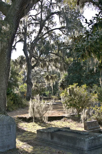 Bonaventure Cemetery Voted Top Most Beautiful Cemeteries World Striking Sculptures — Stock Photo, Image