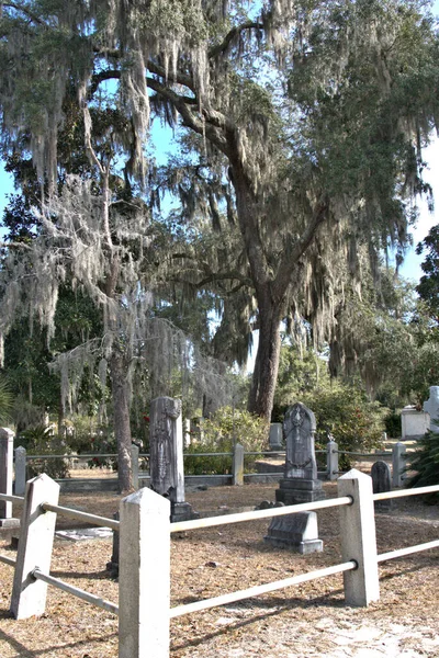 Bonaventure Cemetery Fue Votado Entre Los Cementerios Más Bellos Del —  Fotos de Stock