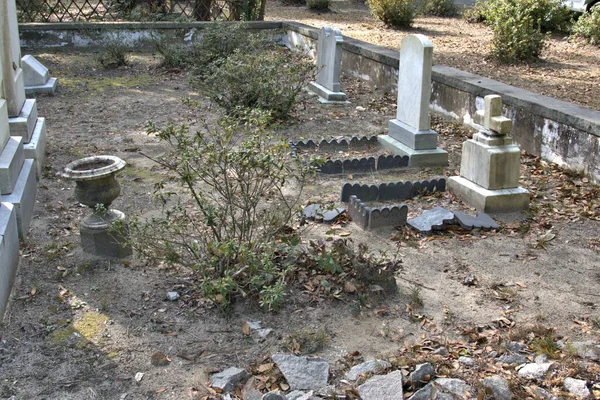 Bonaventure Mezarlığı dünyanın en güzel 10 mezarlığında seçildi! Çarpıcı heykeller, anıtlar ve özenle hazırlanmış mezarlıklar zarif, yosunlu meşe ağaçlarıyla süslenmiş 160 dönümlük araziyi süslüyor..