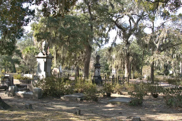 Bonaventure Mezarlığı dünyanın en güzel 10 mezarlığında seçildi! Çarpıcı heykeller, anıtlar ve özenle hazırlanmış mezarlıklar zarif, yosunlu meşe ağaçlarıyla süslenmiş 160 dönümlük araziyi süslüyor..