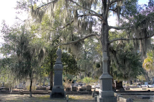 Bonaventure Mezarlığı dünyanın en güzel 10 mezarlığında seçildi! Çarpıcı heykeller, anıtlar ve özenle hazırlanmış mezarlıklar zarif, yosunlu meşe ağaçlarıyla süslenmiş 160 dönümlük araziyi süslüyor..