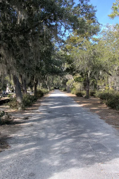 Bonaventure Mezarlığı dünyanın en güzel 10 mezarlığında seçildi! Çarpıcı heykeller, anıtlar ve özenle hazırlanmış mezarlıklar zarif, yosunlu meşe ağaçlarıyla süslenmiş 160 dönümlük araziyi süslüyor..