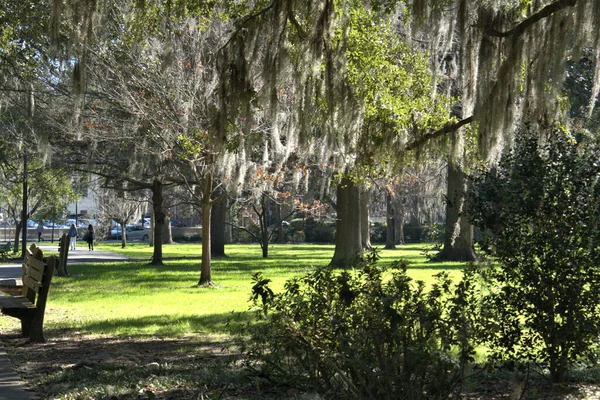 Savannah Conhecida Por Seus Parques Edifícios Coloridos — Fotografia de Stock