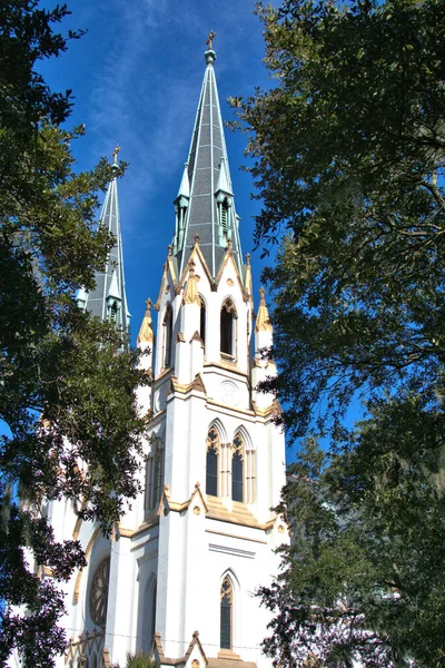 Cathedral Basilica John Baptist Beautiful Church Savannah Landscape — Stock Photo, Image