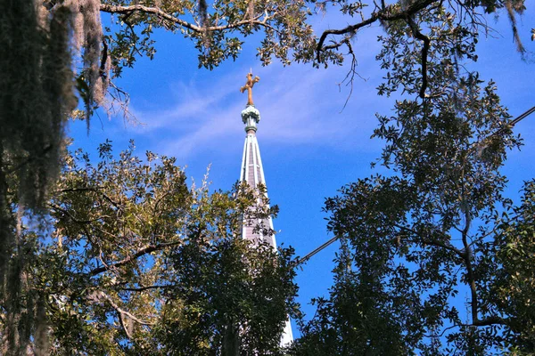 Kathedrale Basilika Johannes Der Täufer Ist Eine Wunderschöne Kirche Der — Stockfoto