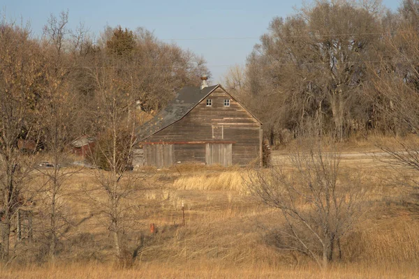 Nido Águila Calva Refugio Nacional Vida Silvestre Loess Bluff Missouri — Foto de Stock