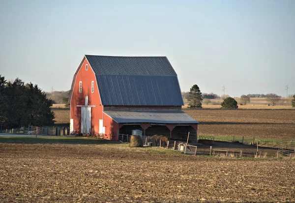 Horses Corral Red Wood Barn Golden Colors Sundown Стоковое Изображение