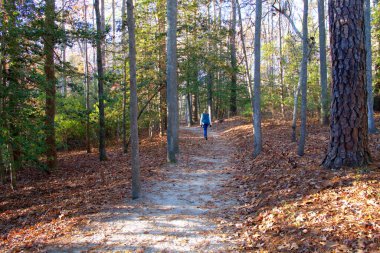Virginia dağlarında sonbahar yeşillikleri arasında yürüyüş yapan bir kadın.