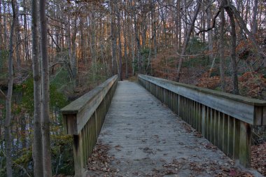 Ahşap Köprü sonbahar renkleriyle çevrili