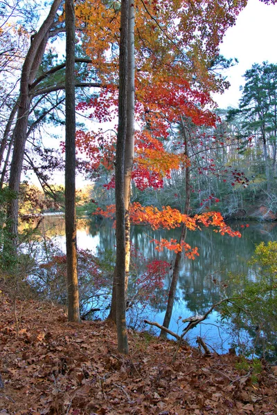 Красивые Красные Листья Окружают Озеро Ранней Осенью — стоковое фото