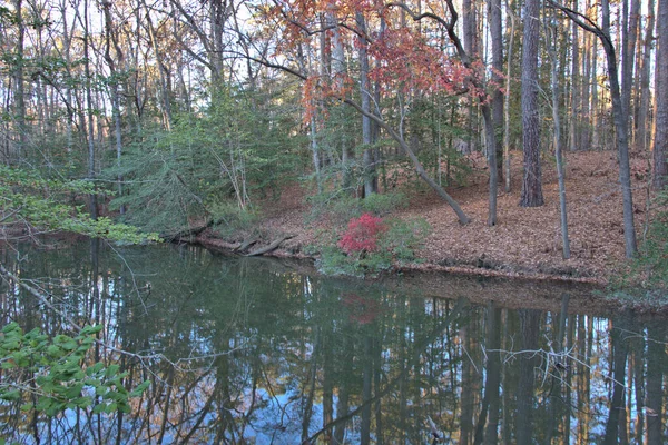 Fall Reds Yellow Colors Small Stream —  Fotos de Stock