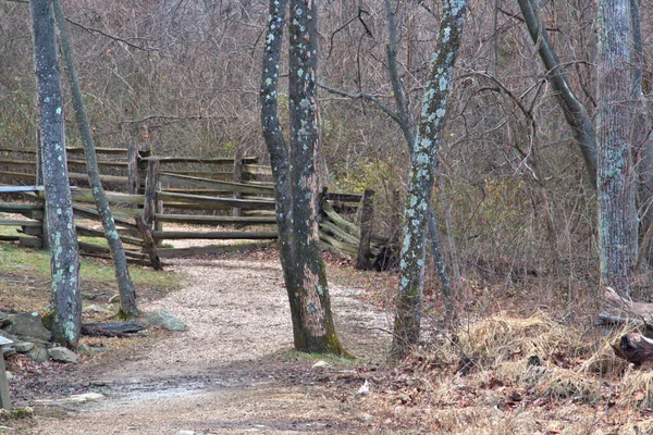 Panneau Bois Corral Pour Bétail — Photo