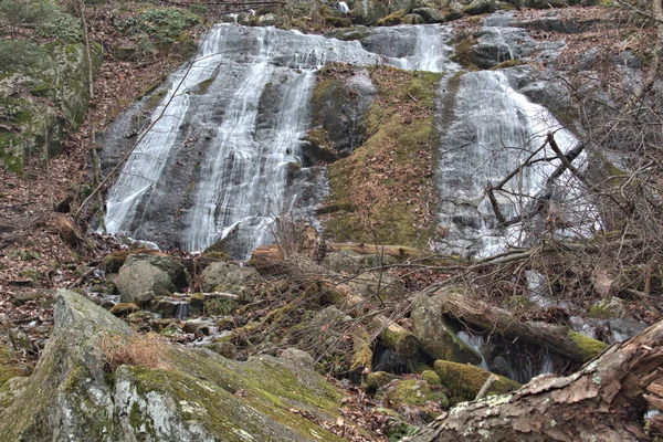 苔に覆われた岩や木の手足を流れる長い露出の滝 — ストック写真