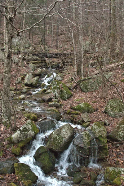 Lange Blootstelling Waterval Stromen Mos Bedekt Rotsen Late Herfst Bos — Stockfoto