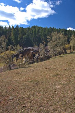 Eski kamara ıssız bir dağ çayırında.