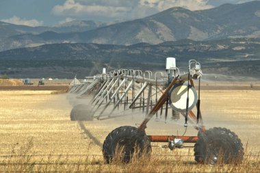 Merkez Pivot sulama sistemi bir dağ çayırında yeni ekilen mahsulü suluyor.