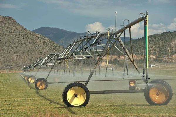 Center Pivot Irrigation Watering Precious Alfalfa Hay Mountain Meadow — Stock Photo, Image