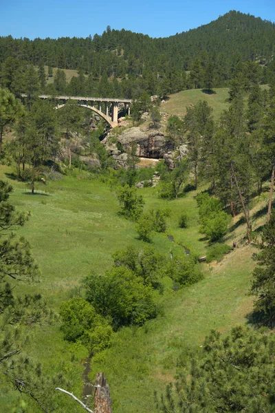 Beaver Creek Bridge Ível 115 Magas 35Mm Felett Kanyon Padló — Stock Fotó