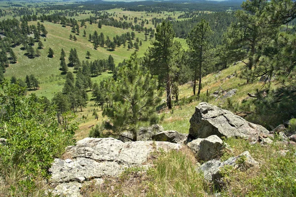 Scenic Schoonheid Van Zwarte Heuvels Van Zuid Dakota — Stockfoto