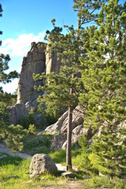Çam ormanlarında ve kayalık kulelerde yürüyüş yapmak.