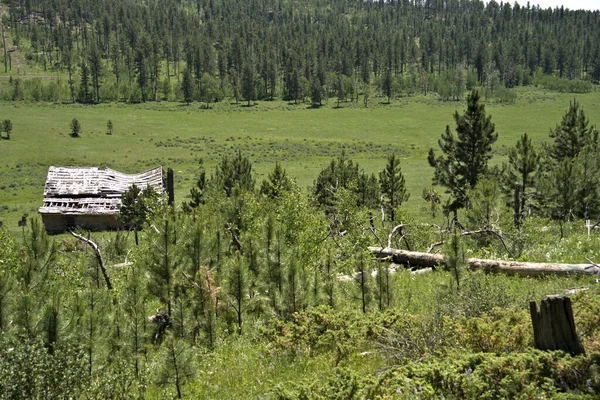 Abandoned Home Green Mountain Meadow — Stockfoto