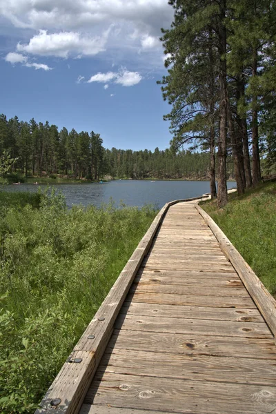 夏天沿着山湖的木平台 — 图库照片