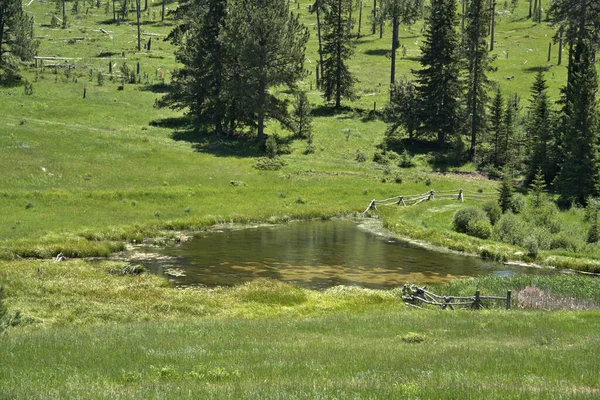 Pond Mountain Meadow Wood Fence — Fotografia de Stock