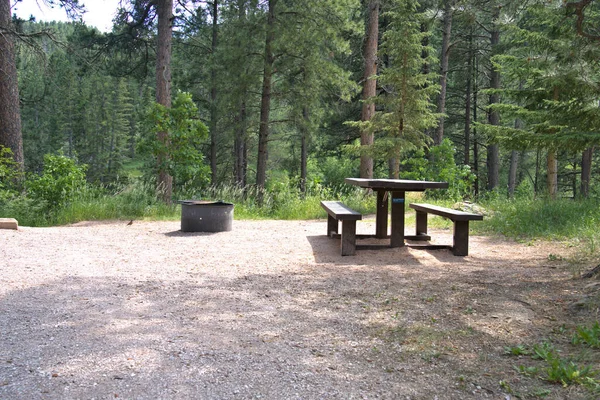 Campsite Fire Ring Picnic Table Surrounded Pine Forest — Φωτογραφία Αρχείου