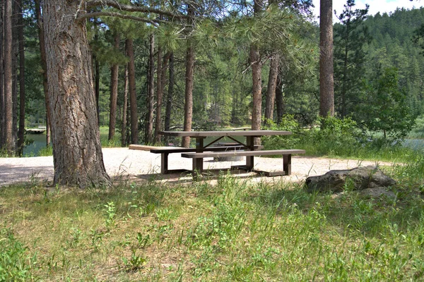 Picnic Table Overlooking Lake — Foto Stock