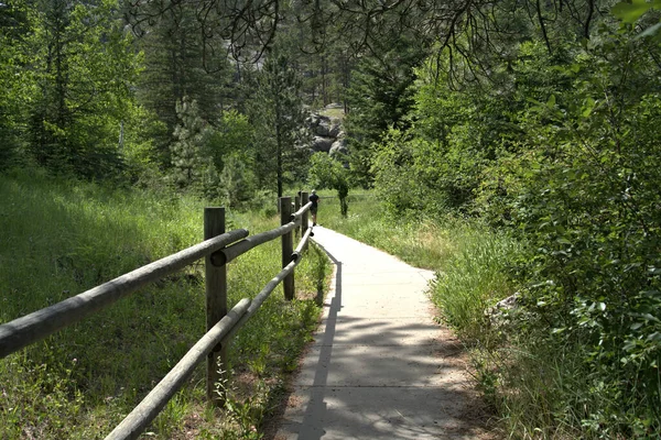 Hiking Trail Wood Fence Leading Rocky Formation Surrounded Trees Summer — 스톡 사진