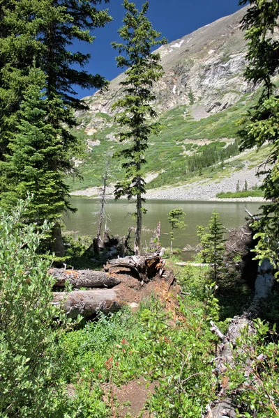 Lush Green Vegetation Surrounds Mountain Top Lake — Stok fotoğraf