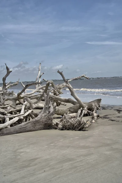 Driftwood Beach Mag Ein Wenig Unheimlich Erscheinen Vor Allem Der — Stockfoto